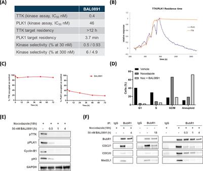 Dual TTK/PLK1 inhibition has potent anticancer activity in TNBC as monotherapy and in combination